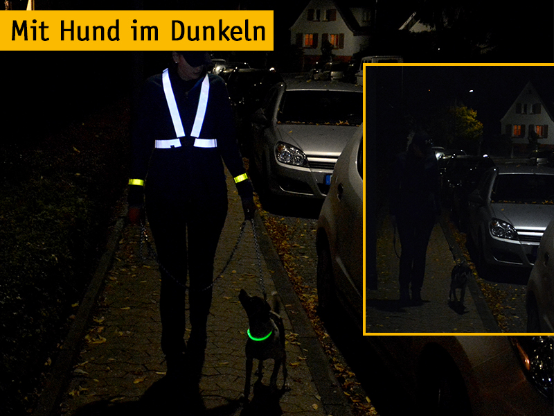 Mit Hund im Dunkeln Tipps fürs Gassigehen