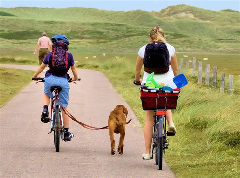 Radfahren mit dem Hund