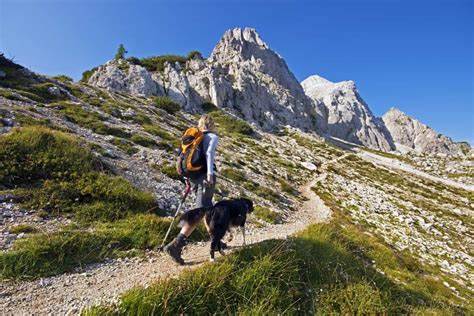 Wandern mit dem Hund