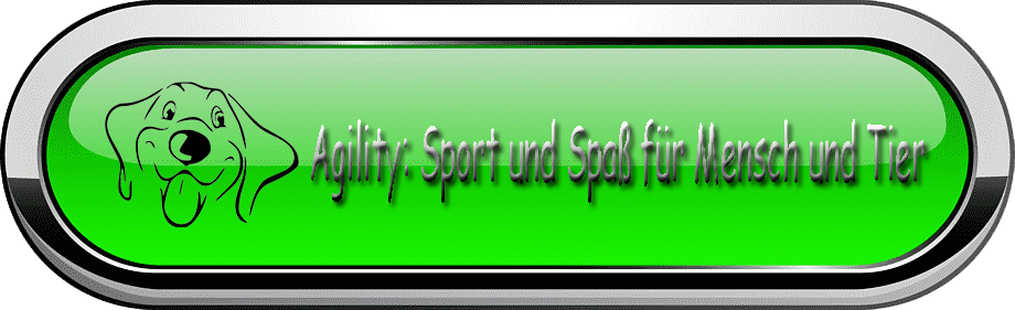 Agility Sport und Spaß für Mensch und Tier