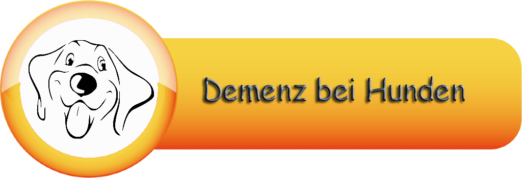 Demenz bei Hunden1