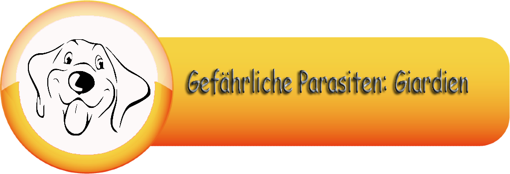 Gefährliche Parasiten Giardien1