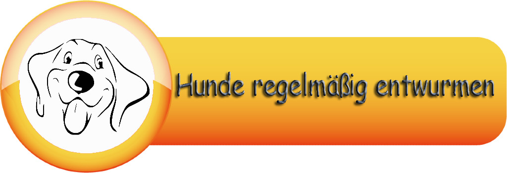 Hunde regelmäßig entwurmen