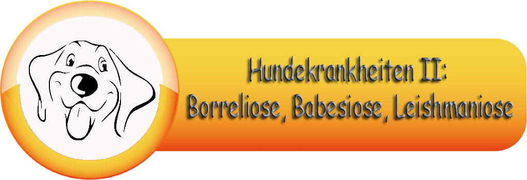 Hundekrankheiten II Borreliose, Babesiose, Leishmaniose1